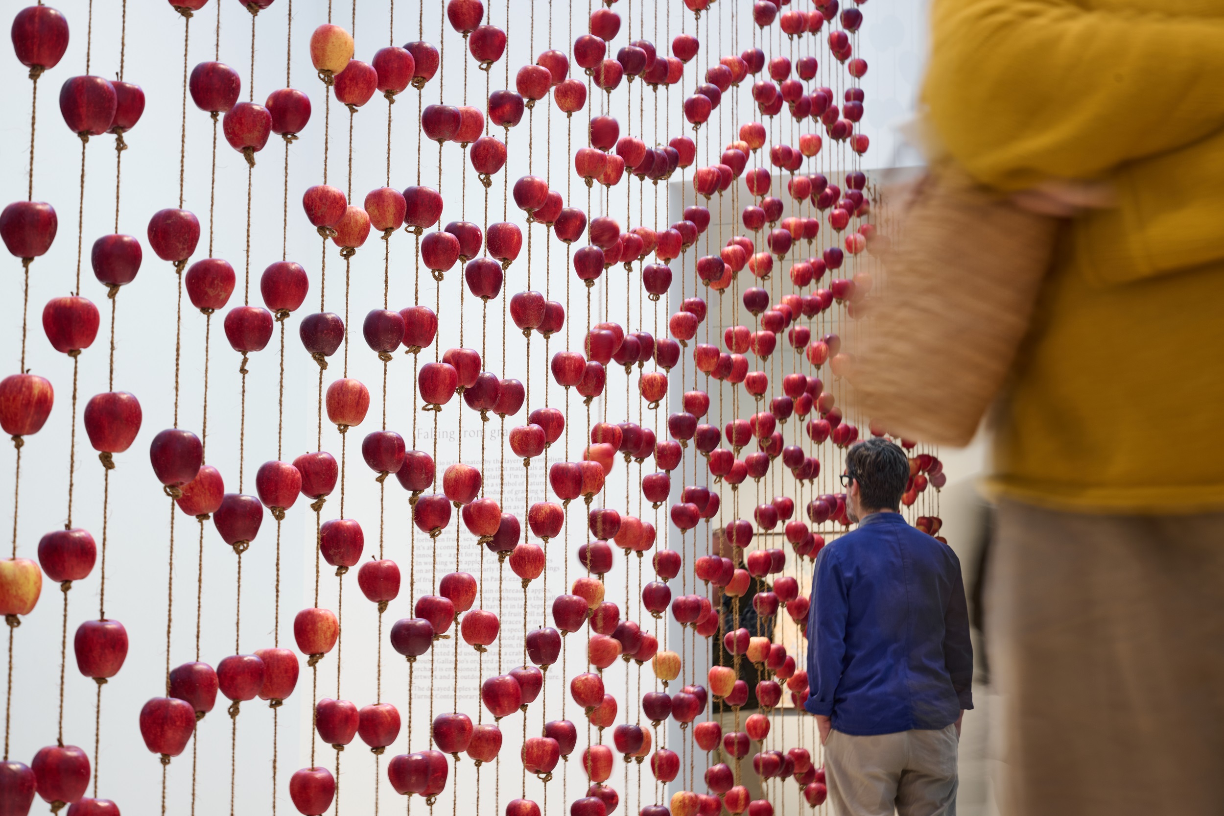 Sj Turner Anyag 290924 0296